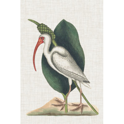 Catesby Heron VI
