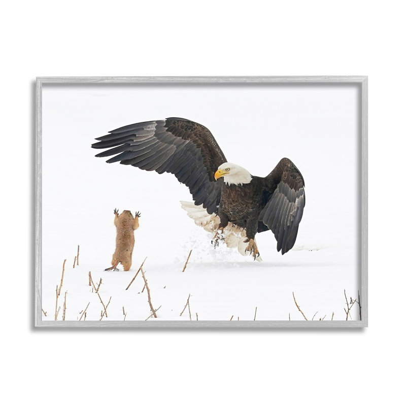 «Ba-405», reproduction de chien de prairie et d'aigle encadrée sur bois par Arthur Trevino, Estampe numérique Farmhouse