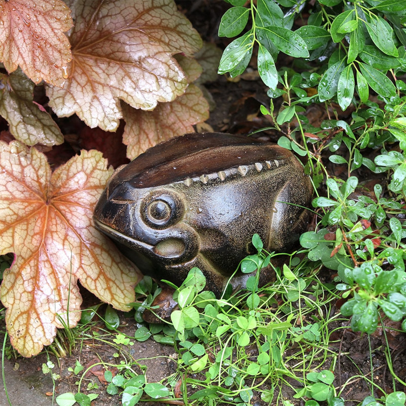 Statue grenouille Saxi