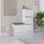 Temera Shoe Cabinet-125774350