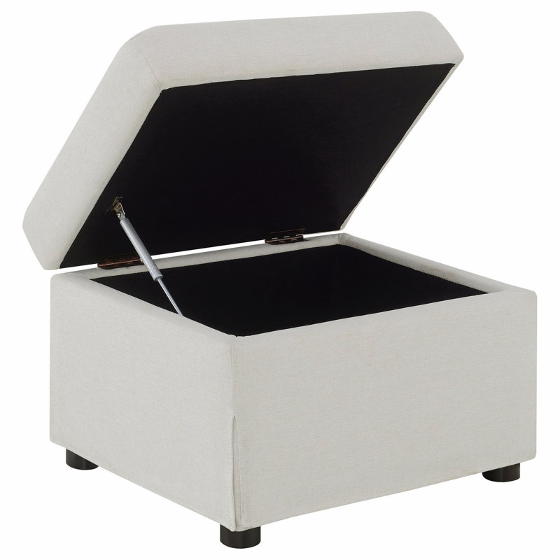 Repose-pieds avec rangement relevable