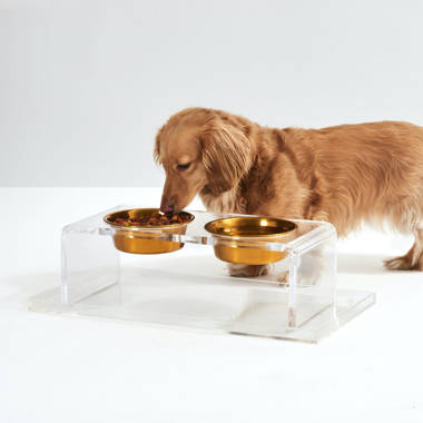 Elevated Double Pet Bowl Feeder with Gold Bowls