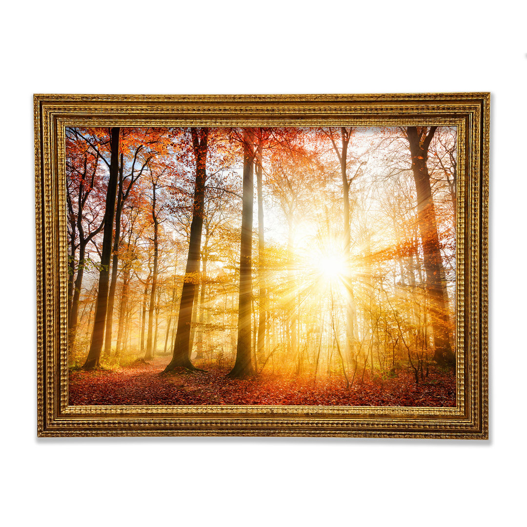 Kunstdruck Great British Autumn Woodland