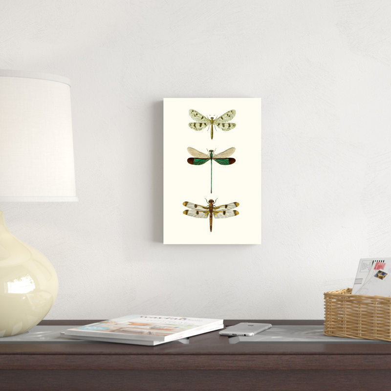 «Entomology Series VII», peinture sur toile, H 12 po x l 8 po