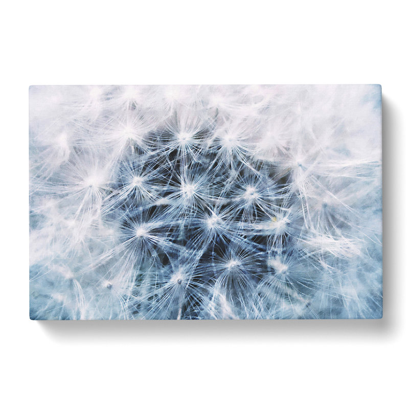 Dandelion Seeds Vol.12 - Wrapped Canvas Print, 40cm H x 60cm W x 3cm D