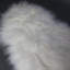 Kearney Sheepskin Area Rug-36342617