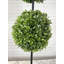 Buis artificiel 38 po en pot-329832531