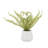 13.8 " H Faux Fern Plant