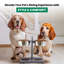 Diner pour animaux Dinahlee-13945743