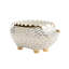 Hedgehog Ceramic Planter-62260154