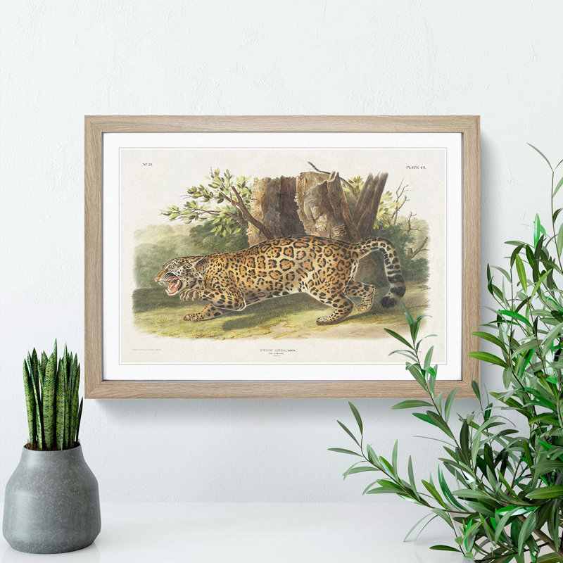 Jaguar by J.W. Audubon - Picture Frame Painting Print, 27cm H x 36cm W x 2cm D, Oak Framed