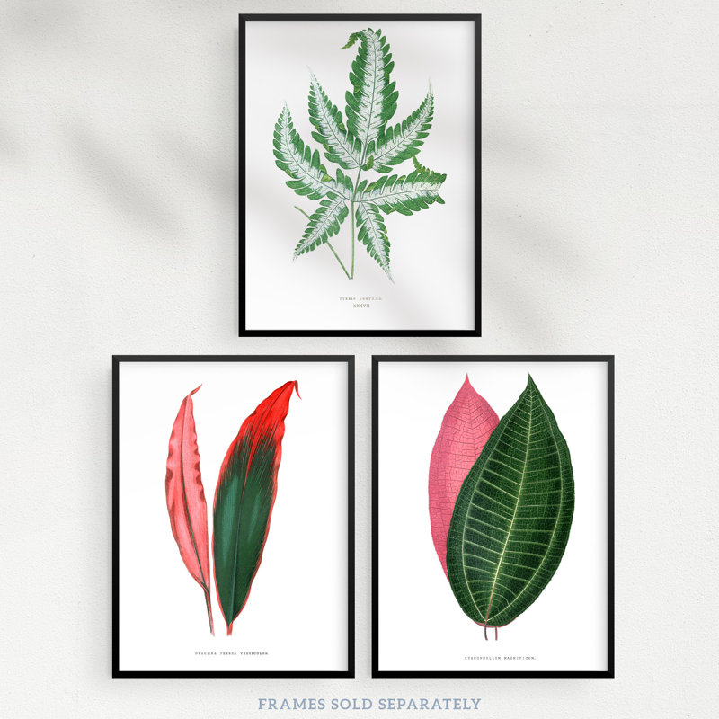Fern Frond Red Green Plant Leaves Botany Vintage Botanical Aesthetic - 3 Piece No Frame Print Set