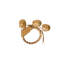 Forest Walk Leaf Napkin Ring Assorted - Gold