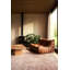 Sono Salmon Area Rug-1132383953