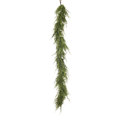 Cèdre Juniper