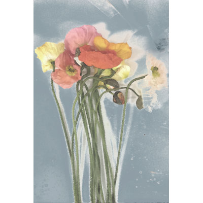 Poppy Spray III