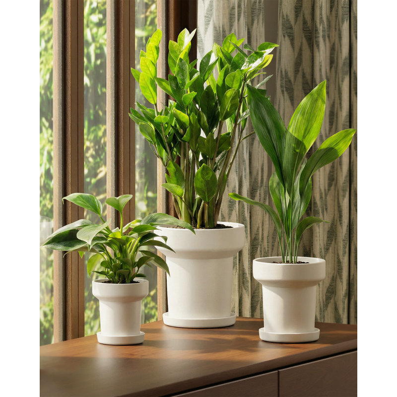3-Pack White Modern Minimalist Plant Pots, 5/6/7 Inch Indoor Planters with Drainage Holes for Indoor Plants & Home Decor
