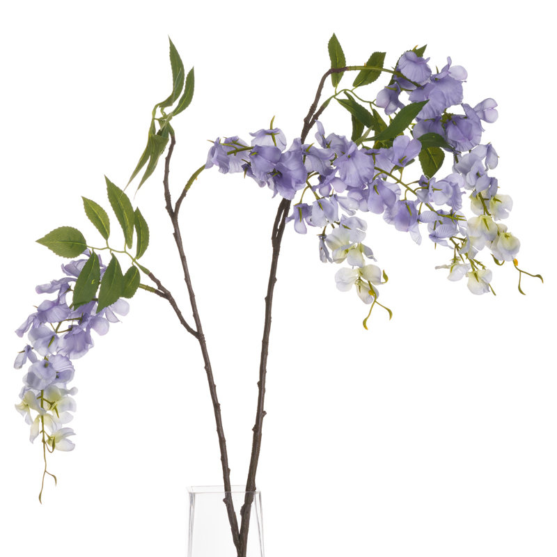 Anastasija Arrangement