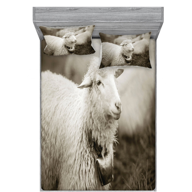 Microfiber Sheet Set, Queen Sheet Set with Fitted Sheet