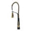 Belfry Kitchen Dunfee Pull Out Kitchen Faucet-1067238065