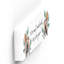 Animals Box Signs & Plaques