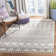 Hamilton Performance Southwestern Rug