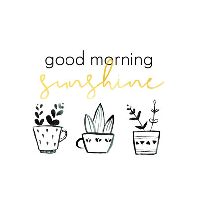 Soleil matinal