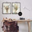 Ensemble de 2 toiles flottantes  Eucalyptus Jar par Steve Hunziker-1951933779-1951933804