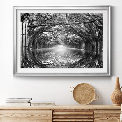 " Oak Alley Reflection "