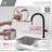 Modern Faucet Stylish Catania One-Handle Pull Down Kitchen Faucet-42723904