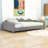 Upholstered Daybed with Sherpa Fabric-350131820-349787531
