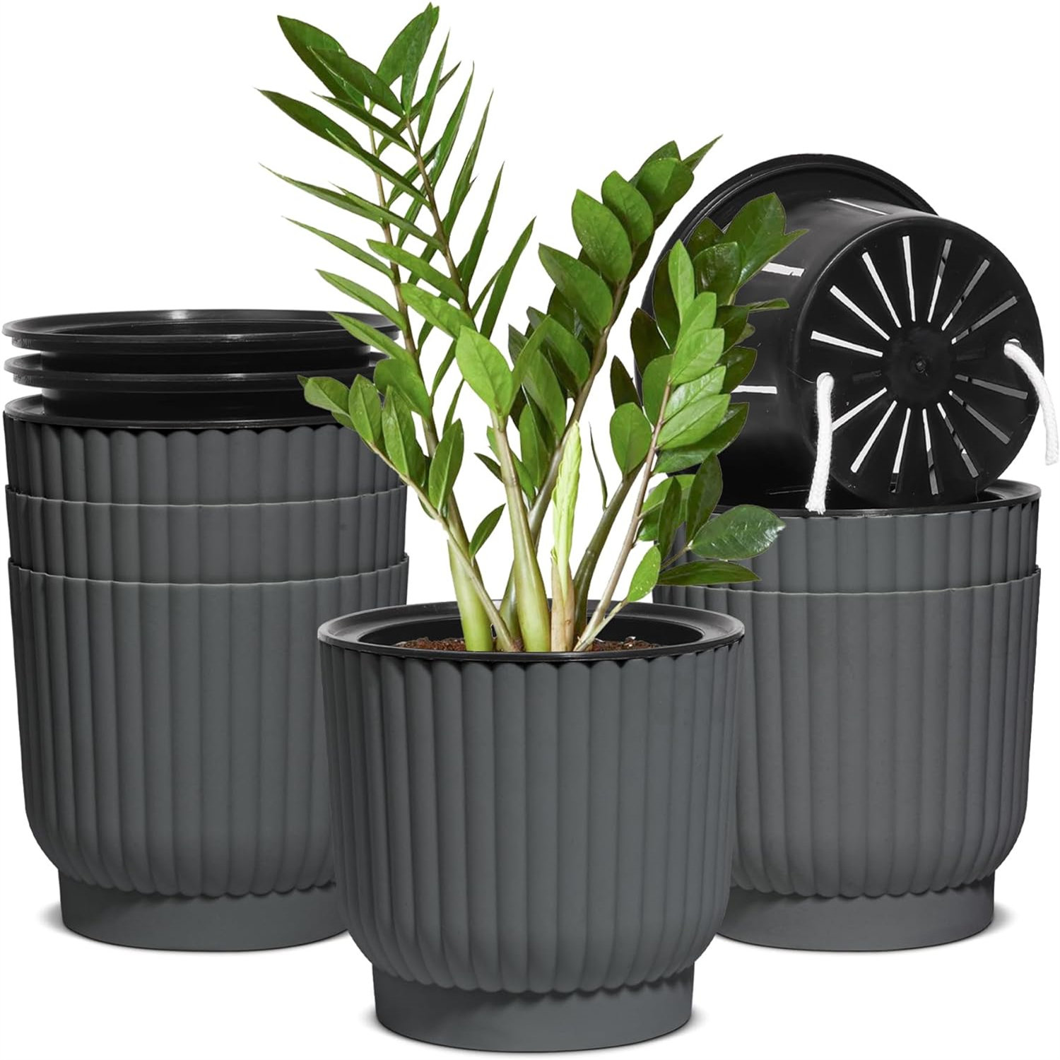 Latitude Run® 6 Inch 6 Pack Self Watering Pots for Indoor Plants ...