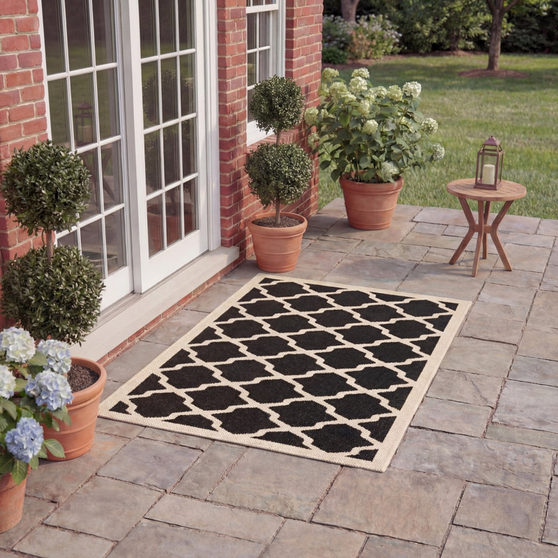 Arneshia Black Indoor/Outdoor Area Rug, Rectangle 2' x 3'7"