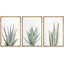 Green Succulent, reproduction sur toile 3 pièces-91874683-91874684