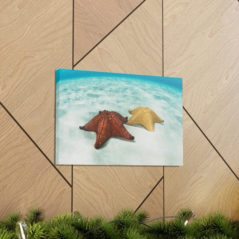 Étoile de mer, étoile de mer, art mural, H 12 po x l 18 po