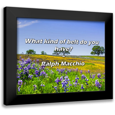 Ralph Macchio Quote: What kind of belt do you have?