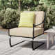 Lucier Patio Chair with SunbCushions