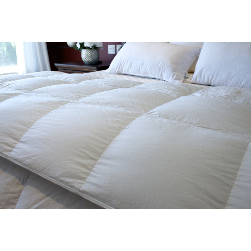 Édredon en duvet 400TC Hutterite 800, Grand