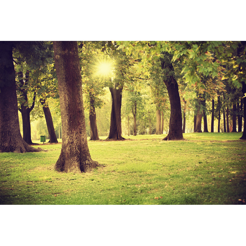 Park sempione in milan, 81cm H x 122cm W