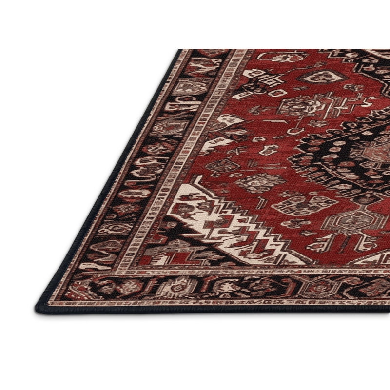 Tapis brun turc lavable à la machine, Rectangle 6 pi x 9 pi