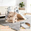 d7b-b319-464d2 BouncyBliss 20.79 W Freestanding Slide