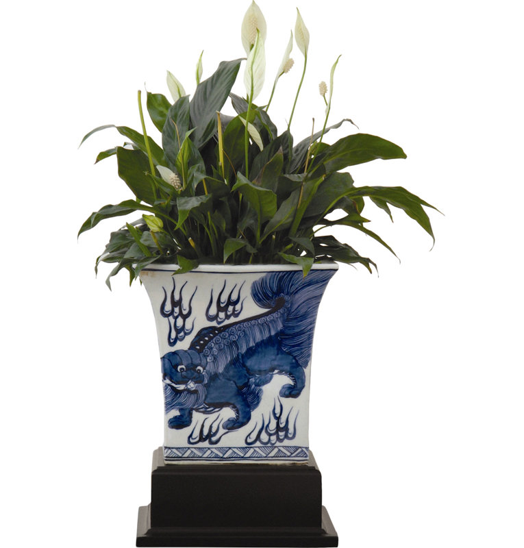 Chow Handmade Ceramic Planter