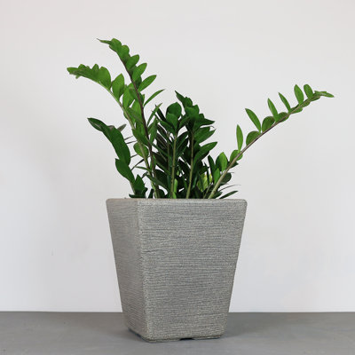 Pot à fleurs rectangulaire écologique / écologique écologique / blanc pour l'intérieur et l'extérieur