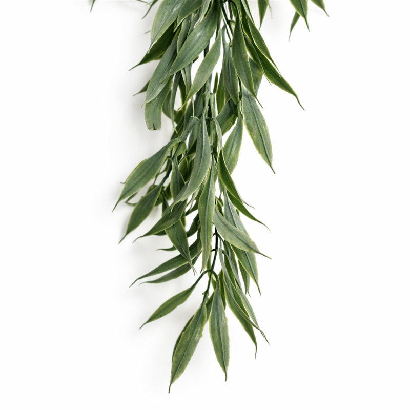 80 Plant, 1