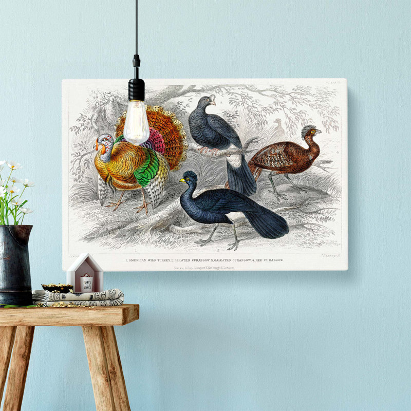 Wild Turkey and Curassow Birds by Oliver Goldsmith - Wrapped Canvas, 40cm H x 60cm W x 3cm D