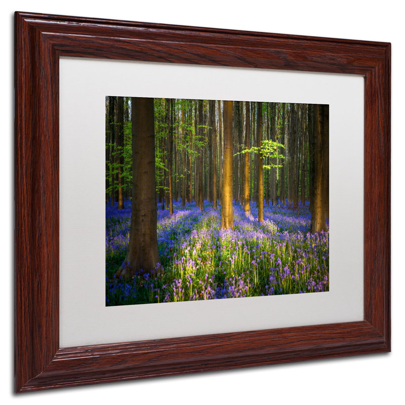 Mystical Forest Landscape Photographic Print on Canvas with Brown Frame