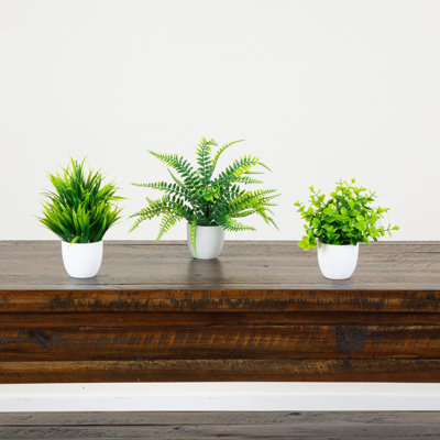 7 po Ensemble de 3 plantes à feuilles persistantes artificielles en pot rond blanc