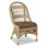 Palm Dining Chair