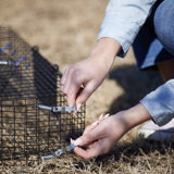 Weather Resistant Rat Cage