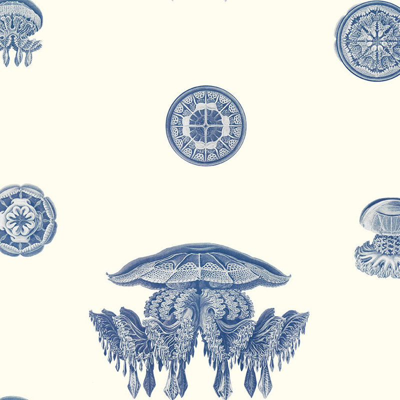 Symphony, Cobalt, Paper